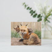 Niedliche Kleintiere | Red Fox & Baby Postkarte (Stehend Vorderseite)