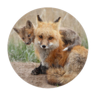 Niedliche Kleintiere   Red Fox & Baby Schneidebrett