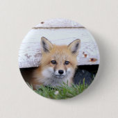 Niedliche Kleintiere | Red Fox Kit Peeking Button (Vorderseite)