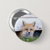Niedliche Kleintiere | Red Fox Kit Peeking Button (Vorne & Hinten)