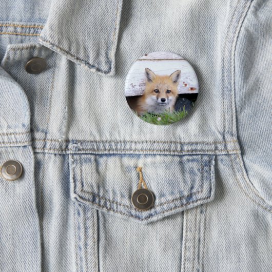 Niedliche Kleintiere | Red Fox Kit Peeking Button (Beispiel)