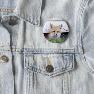 Niedliche Kleintiere   Red Fox Kit Peeking Button