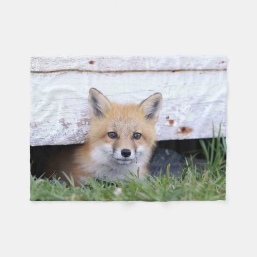 Niedliche Kleintiere | Red Fox Kit Peeking Fleecedecke (Vorderseite (Horizontal))