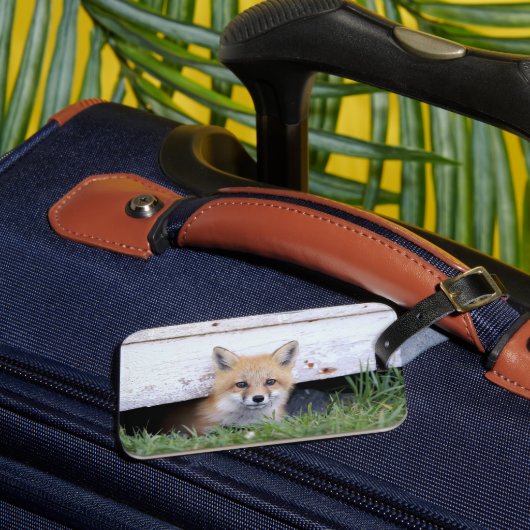 Niedliche Kleintiere | Red Fox Kit Peeking Gepäckanhänger (Vorderseite Insitu 3)