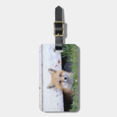 Niedliche Kleintiere | Red Fox Kit Peeking Gepäckanhänger (Vorderseite vertikal)