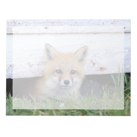 Niedliche Kleintiere | Red Fox Kit Peeking Notizblock (Vorderseite)