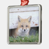 Niedliche Kleintiere | Red Fox Kit Peeking Ornament Aus Metall (Links)