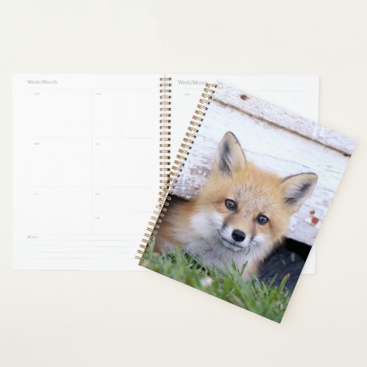 Niedliche Kleintiere | Red Fox Kit Peeking Planer (Anzeige)