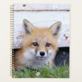 Niedliche Kleintiere | Red Fox Kit Peeking Planer (Vorderseite)