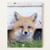 Niedliche Kleintiere | Red Fox Kit Peeking Planer (Rückseite)