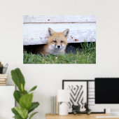 Niedliche Kleintiere | Red Fox Kit Peeking Poster (Heimbüro)