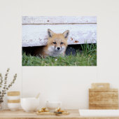 Niedliche Kleintiere | Red Fox Kit Peeking Poster (Küche)