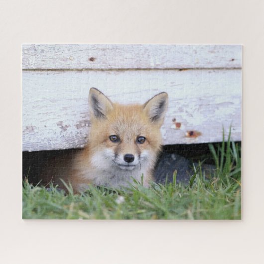Niedliche Kleintiere | Red Fox Kit Peeking Puzzle (Horizontal)