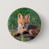 Niedliche Kleintiere | Red Fox Kit Relaxen Button (Vorderseite)