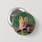 Niedliche Kleintiere | Red Fox Kit Relaxen Button (Vorne & Hinten)