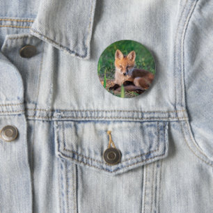 Niedliche Kleintiere   Red Fox Kit Relaxen Button