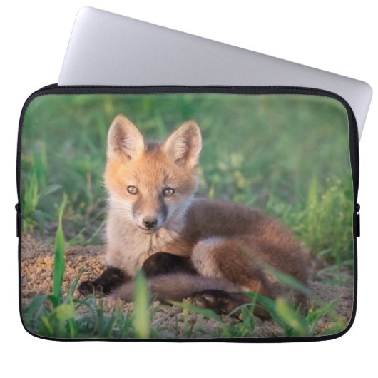 Niedliche Kleintiere | Red Fox Kit Relaxen Laptopschutzhülle (Vorderseite)