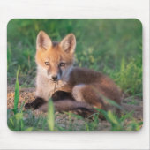 Niedliche Kleintiere | Red Fox Kit Relaxen Mousepad (Vorne)
