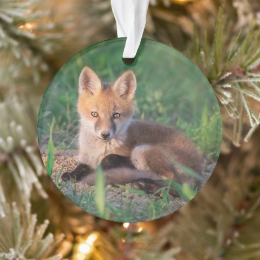 Niedliche Kleintiere | Red Fox Kit Relaxen Ornament (Baum)