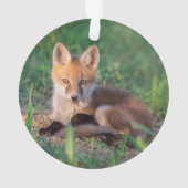 Niedliche Kleintiere | Red Fox Kit Relaxen Ornament (Rückseite)