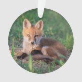 Niedliche Kleintiere | Red Fox Kit Relaxen Ornament (Vorderseite)