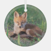 Niedliche Kleintiere | Red Fox Kit Relaxen Ornament Aus Glas (Vorderseite)