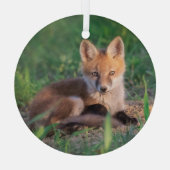 Niedliche Kleintiere | Red Fox Kit Relaxen Ornament Aus Glas (Rückseite)