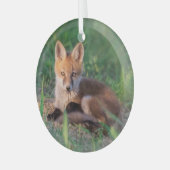 Niedliche Kleintiere | Red Fox Kit Relaxen Ornament Aus Glas (Vorderseite links)