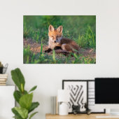 Niedliche Kleintiere | Red Fox Kit Relaxen Poster (Heimbüro)