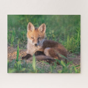Niedliche Kleintiere   Red Fox Kit Relaxen Puzzle