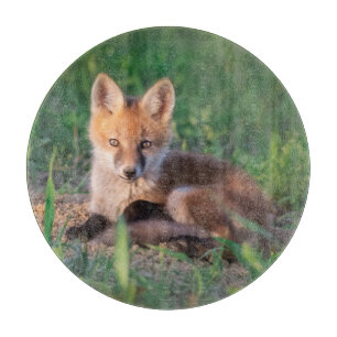 Niedliche Kleintiere Red Fox Kit Relaxen Schneidebrett