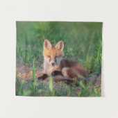 Niedliche Kleintiere | Red Fox Kit Relaxen Wandteppich (Vorderseite (Horizontal))