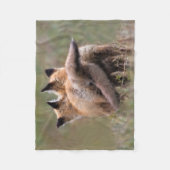 Niedliche Kleintiere | Red Fox Kits Locking Schwan Fleecedecke (Vorderseite)
