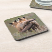 Niedliche Kleintiere | Red Fox Kits Locking Schwan Getränkeuntersetzer (Linke Seite)