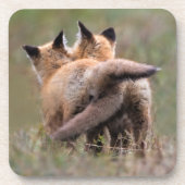 Niedliche Kleintiere | Red Fox Kits Locking Schwan Getränkeuntersetzer (Vorderseite)