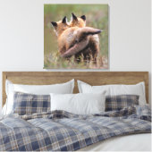 Niedliche Kleintiere | Red Fox Kits Locking Schwan Leinwanddruck (Insitu (Schlafzimmer))