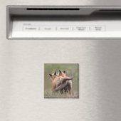 Niedliche Kleintiere | Red Fox Kits Locking Schwan Magnet (In Situ (Geschirrspüler))