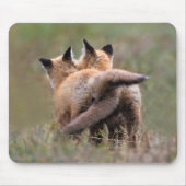 Niedliche Kleintiere | Red Fox Kits Locking Schwan Mousepad (Vorne)