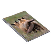 Niedliche Kleintiere | Red Fox Kits Locking Schwan Notizblock (Rechte Seite)