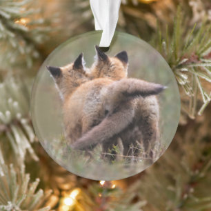 Niedliche Kleintiere Red Fox Kits Locking Schwan Ornament