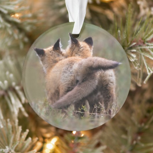Niedliche Kleintiere | Red Fox Kits Locking Schwan Ornament (Baum)