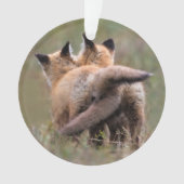 Niedliche Kleintiere | Red Fox Kits Locking Schwan Ornament (Vorderseite)