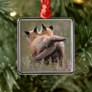 Niedliche Kleintiere   Red Fox Kits Locking Schwan Ornament Aus Metall