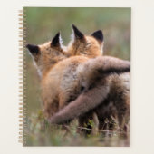 Niedliche Kleintiere | Red Fox Kits Locking Schwan Planer (Vorderseite)