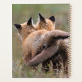 Niedliche Kleintiere | Red Fox Kits Locking Schwan Planer (Rückseite)