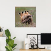 Niedliche Kleintiere | Red Fox Kits Locking Schwan Poster (Heimbüro)