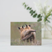 Niedliche Kleintiere | Red Fox Kits Locking Schwan Postkarte (Stehend Vorderseite)