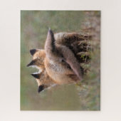 Niedliche Kleintiere | Red Fox Kits Locking Schwan Puzzle (Vertikal)