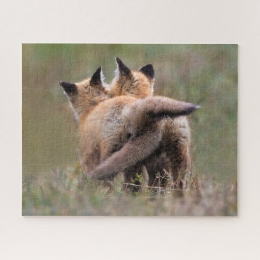 Niedliche Kleintiere | Red Fox Kits Locking Schwan Puzzle (Horizontal)