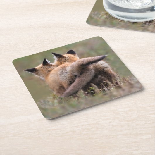 Niedliche Kleintiere | Red Fox Kits Locking Schwan Rechteckiger Pappuntersetzer (angewinkelt)